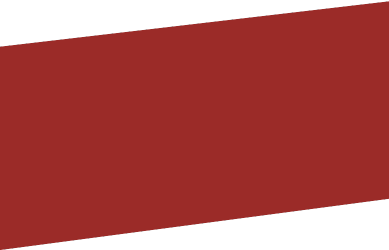 FORMA RENTANGULO ROJO GESTIONAR
